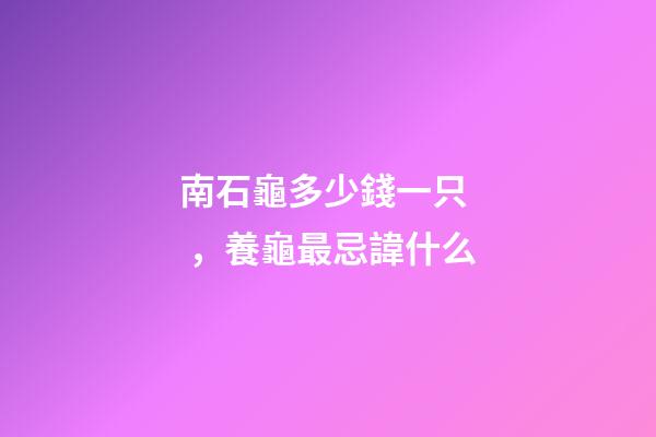 南石龜多少錢一只，養龜最忌諱什么-第1張-觀點-玄機派